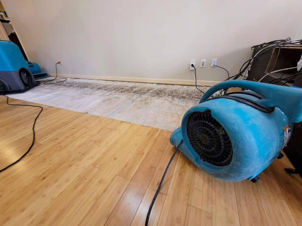 Professional Water Damage Repair technician working in East Alton, IL